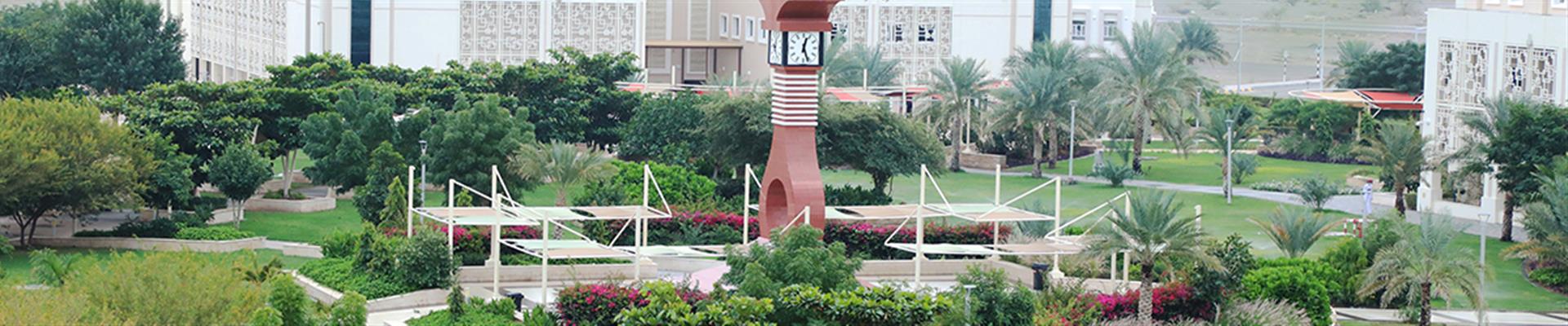 About A’Sharqiyah University